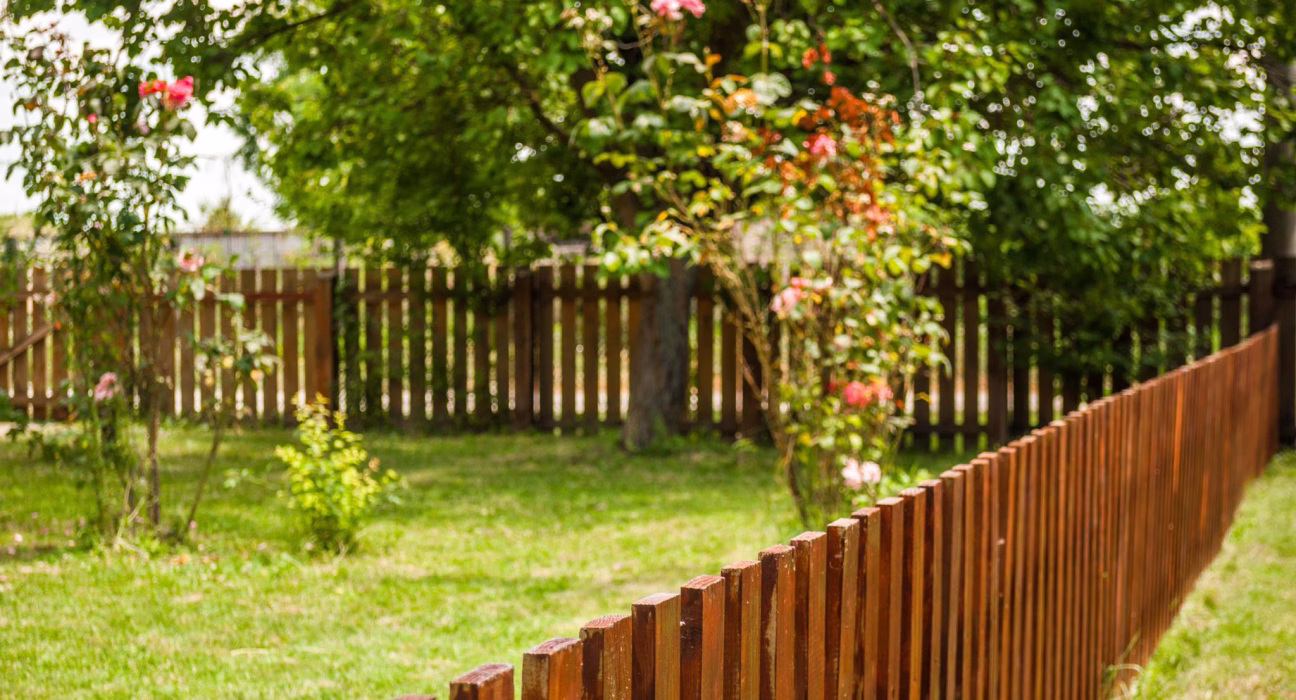 Ділянка навколо будинку